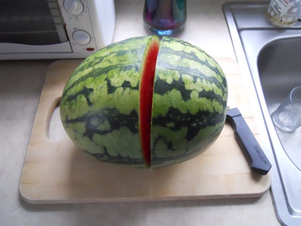 The melon that started this adventure