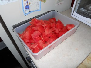 The End Product Yummy watermelon for me to eat!
