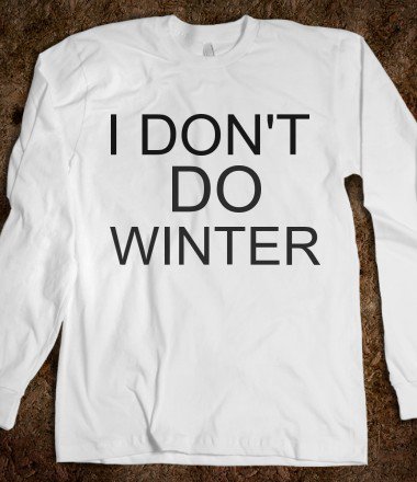 Found at: http://wanelo.com/p/3083708/i-don-t-do-winter-the-kay-designs