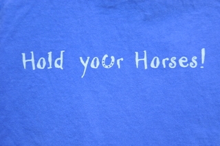 via http://www.sweeteashirts.com/shop/short-sleeves/hold-yer-horses-ss