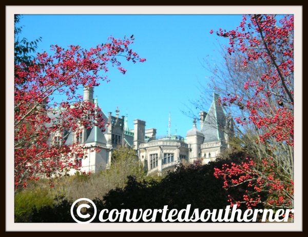 The Biltmore House in Asheville, NC. Looking up from the gardens. 