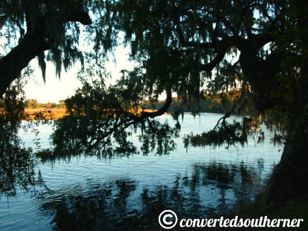 A low country river. October 2013