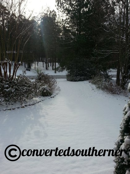 The view from my room this morning... snow!