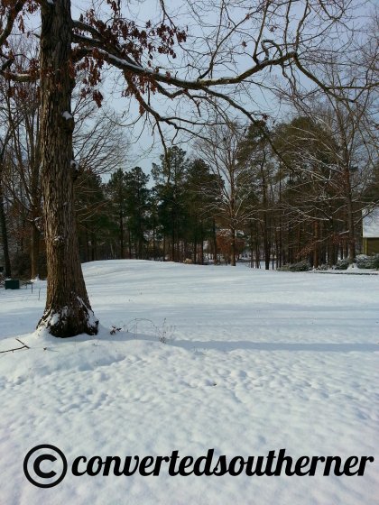 More snow in the back yard.... I saw a couple of snowmen go up!