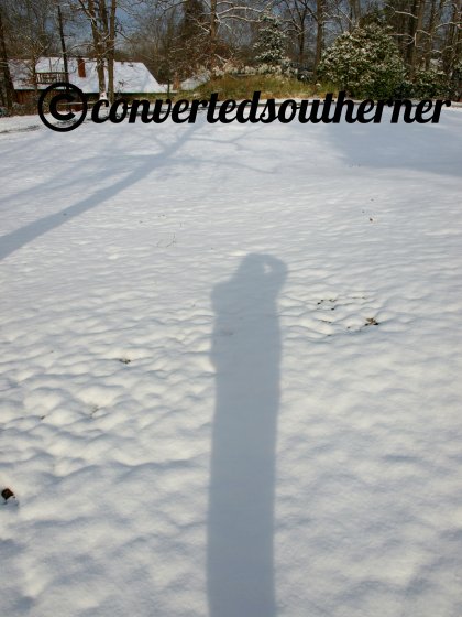 all bundled up and a self-portrait in shadow. 