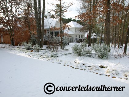 more in the backyard