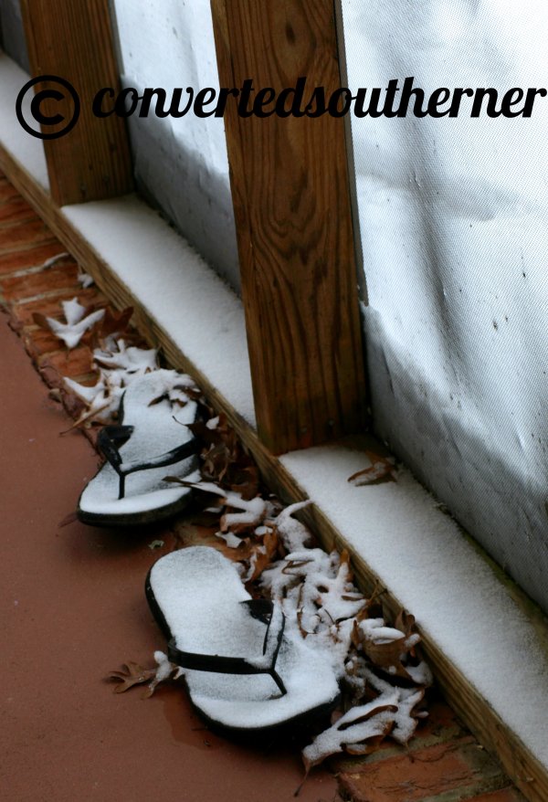 Flip flops and snow