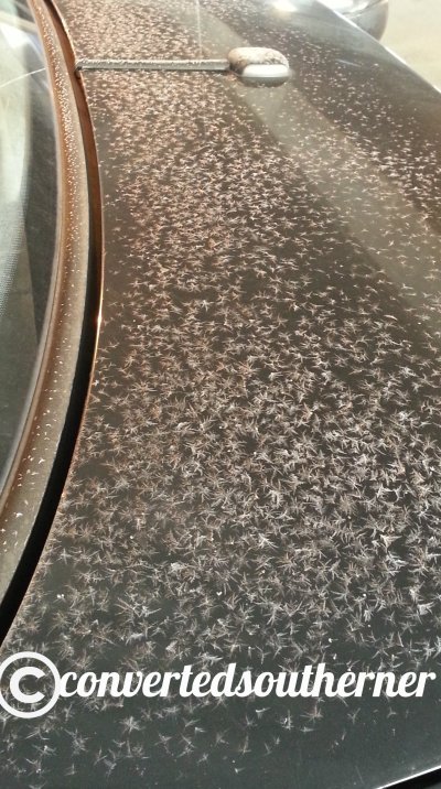 It was so cold, that my car still had frost on it at the END of the work day!