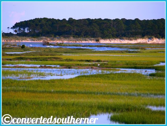 Overlooking the marsh from Harbor Island, SC to Hunting Island .