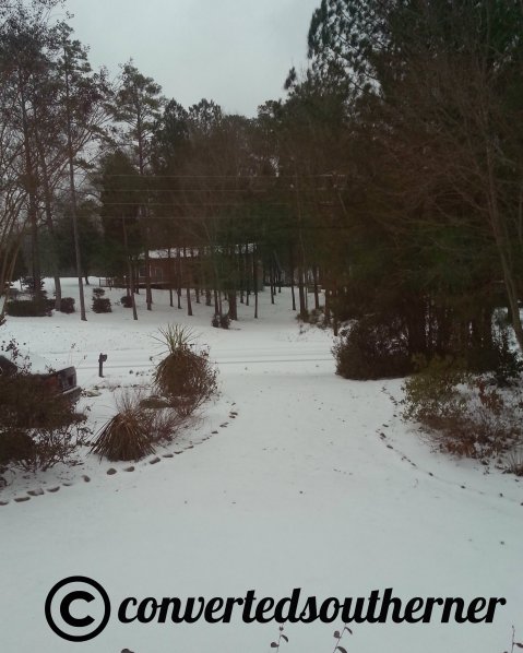 The view of the snow on Wednesday morning