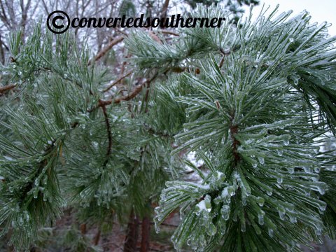 Frozen pins in the South