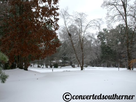 Southern Winter Wonderland