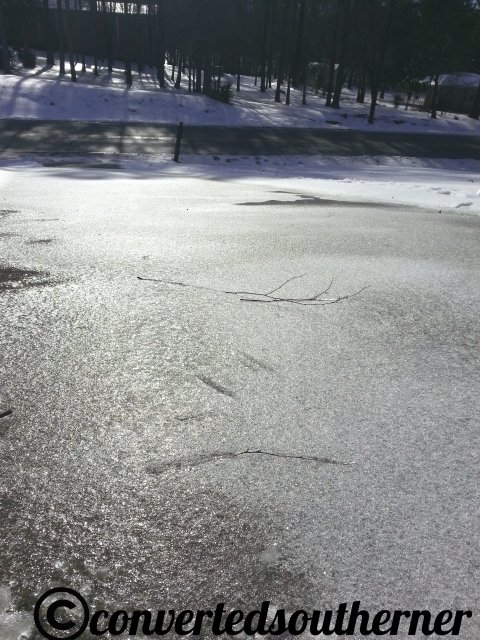 Solid sheet of ice on the hilly driveway at 9:45am on Friday