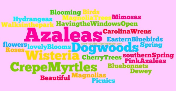 via www.southernbellesimple.com