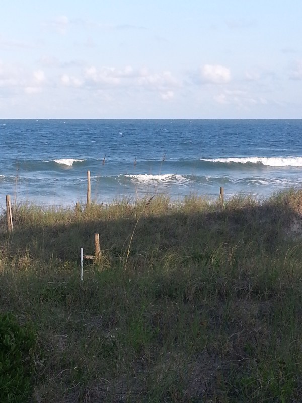 The Beach side of the Beach House