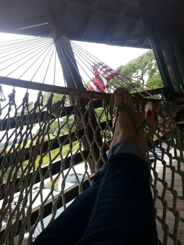 How I spent my morning... when not elbowing my way into the kitchen for a BLT 