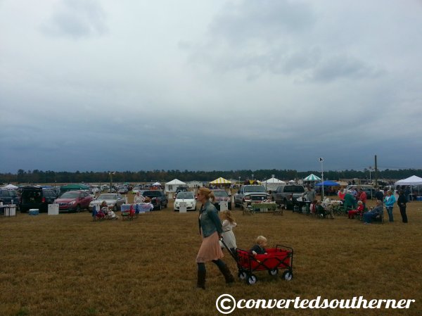 Cool Fall Day at the Colonial Cup