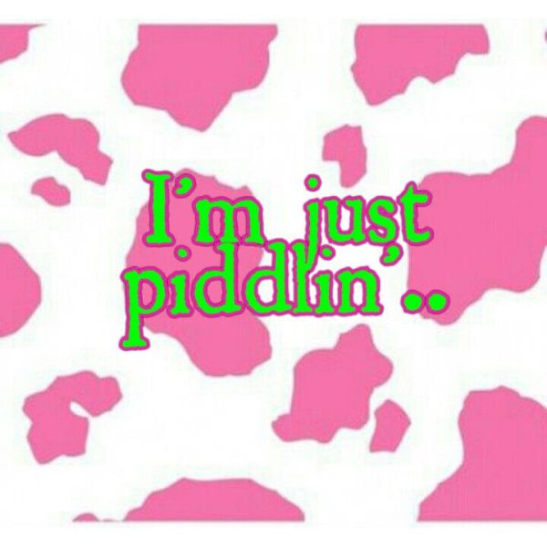 Just Piddlin via Pinterest 